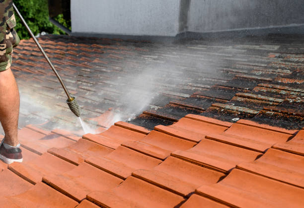 Best Commercial Pressure Washing  in Nekoosa, WI
