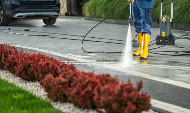 Roof Power Washing Services in Nekoosa, WI