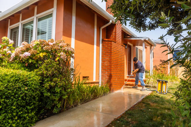 Best Concrete Pressure Washing  in Nekoosa, WI