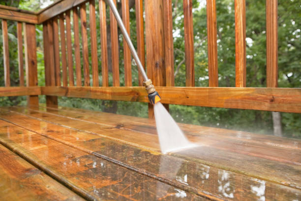 Best Exterior Home Cleaning  in Nekoosa, WI