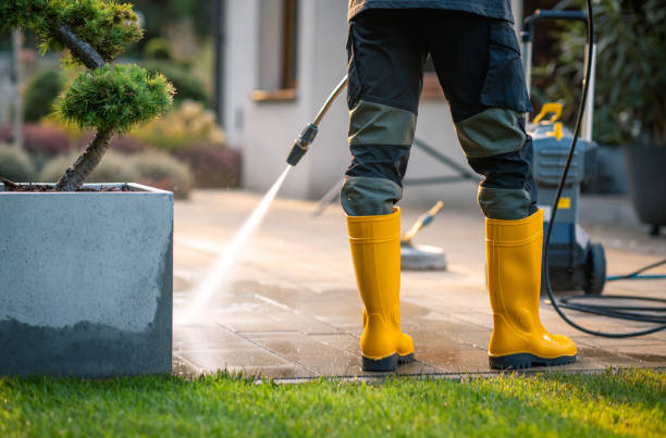 Best Deck Pressure Washing  in Nekoosa, WI